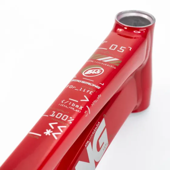 Stay Strong V5 Disc Only Frame 2025 Red/Black